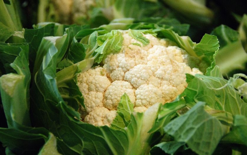 CHOU FLEUR - environ 1 kg - 3,60 € -